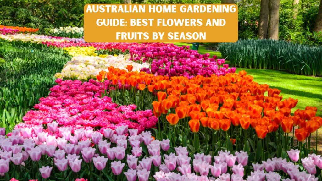 Australian Home Gardening Guide: Best Flowers and Fruits by Season