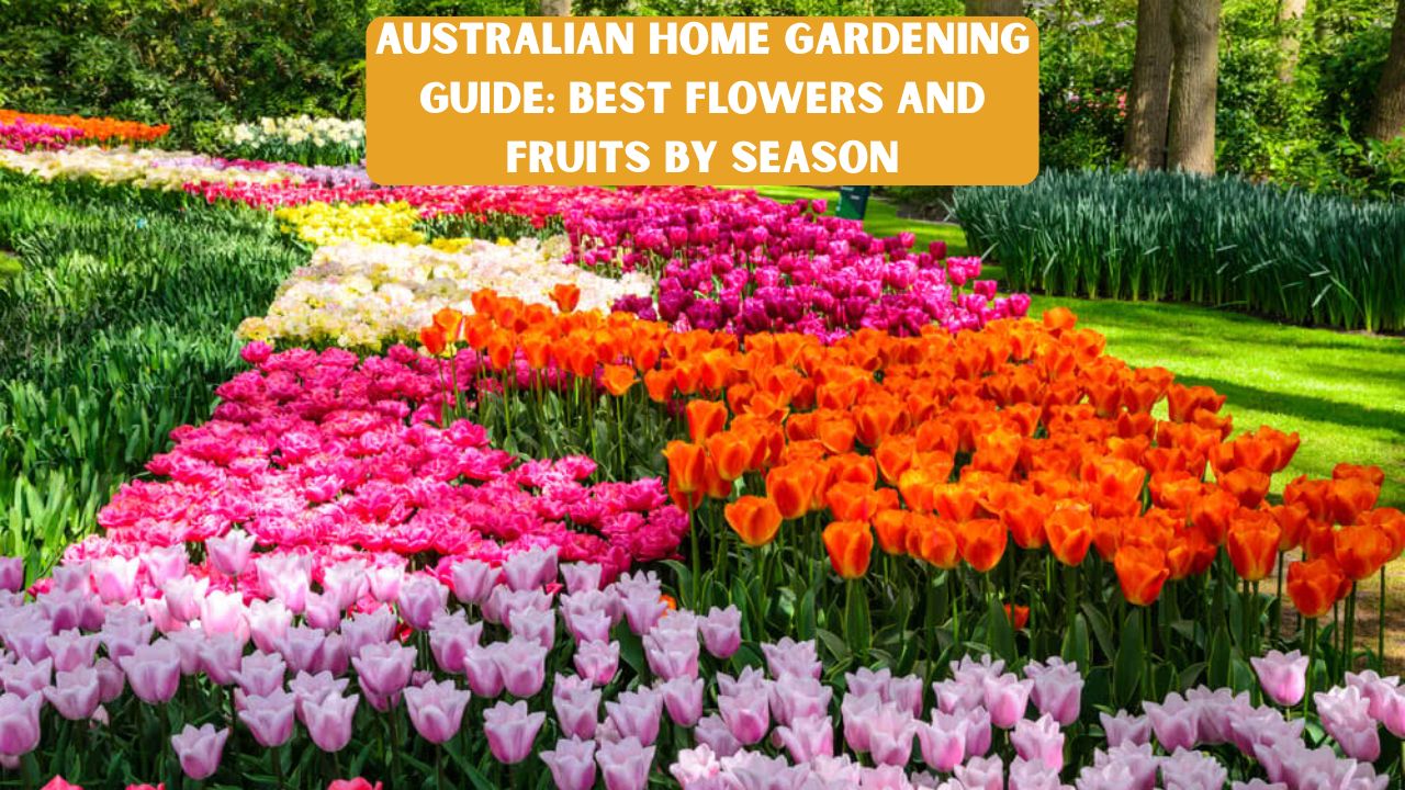 Australian Home Gardening Guide: Best Flowers and Fruits by Season
